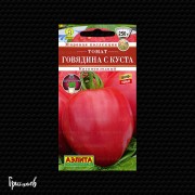 Томат Говядина с куста