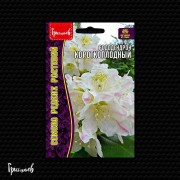 Рододендрон Короткоплодный Рододендрон Короткоплодный
