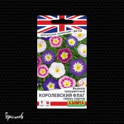 Вьюнок Королевский флаг Вьюнок Королевский флаг