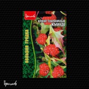 Шпинат Жминда земляничный Шпинат Жминда земляничный