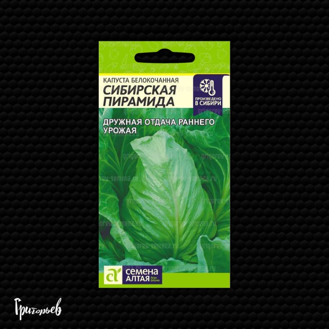 Капуста белокочанная Сибирская пирамида