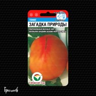 Томат Загадка природы Томат Загадка природы
