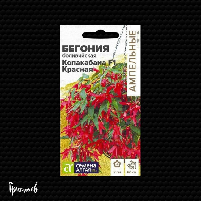 Бегония Копакабана красная F1 боливийская