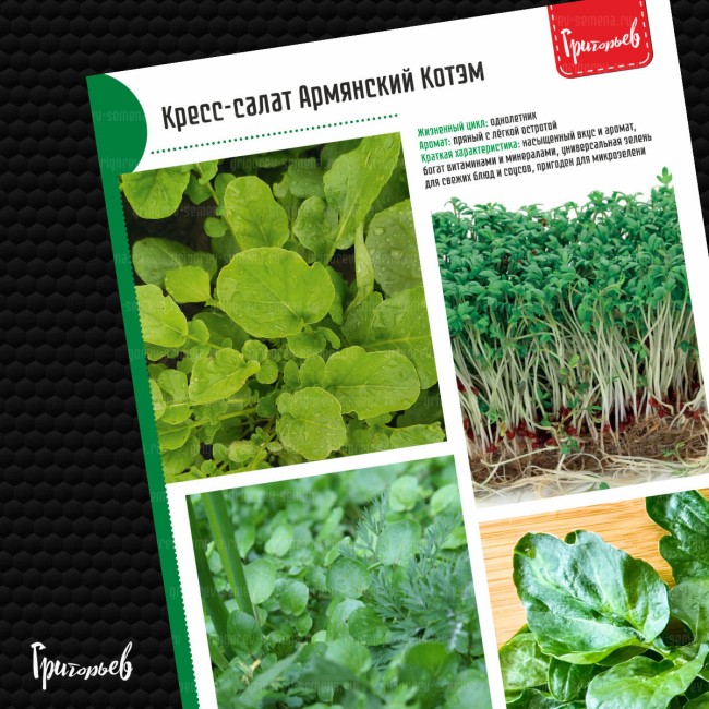 Кресс-салат Армянский Котэм Кресс-салат Армянский Котэм