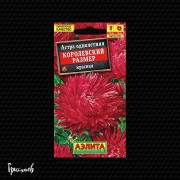 Астра Королевский красная