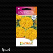 Бархатцы Хризанта Золотисто-Желтый