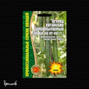 Огурец Китайский Эйч Вай 406 (HY 406) F1