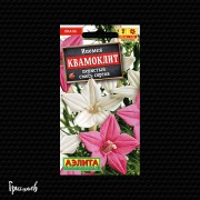 Ипомея Квамоклит перистый Ипомея Квамоклит перистый