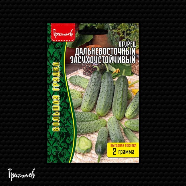 Огурец Дальневосточный Засухоустойчивый
