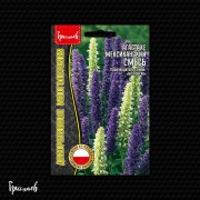 Агастахе Смесь мексиканский