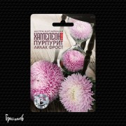 Астра Хамелеон селект пурпурит лилак фрост китайская