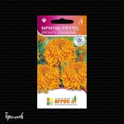 Бархатцы Хризанта оранжевый