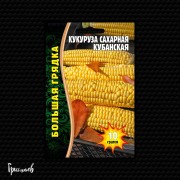 Кукуруза Кубанская сахарная