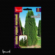 Туя западная (0,1 г) Туя западная (0,1 г)