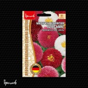 Маргаритка Тассо Микс компактная Маргаритка Тассо Микс компактная