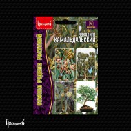 Эвкалипт Камальдульский