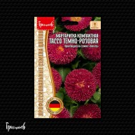 Маргаритка Тассо Тёмно-Розовая компактная