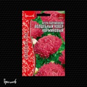 Астра Волшебный Ковёр Карминовая карликовая
