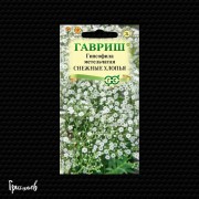 Гипсофила Снежные хлопья метельчатая