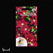 Клематис Розовые мечты