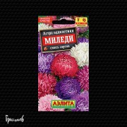 Астра Миледи смесь сортов китайская