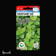 Мята Сибирский чай Мята Сибирский чай