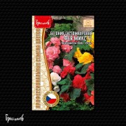 Бегония Фея Микс F1 густомахровая