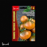 Томат Терракотовый Торберна