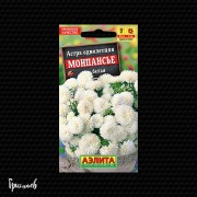 Астра Монпансье белая китайская