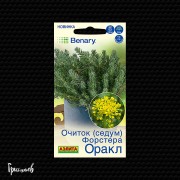 Очиток Оракл фостера