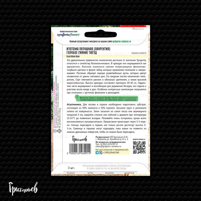 Изотома Голубое Сияние Звёзд пазушная Изотома Голубое Сияние Звёзд пазушная