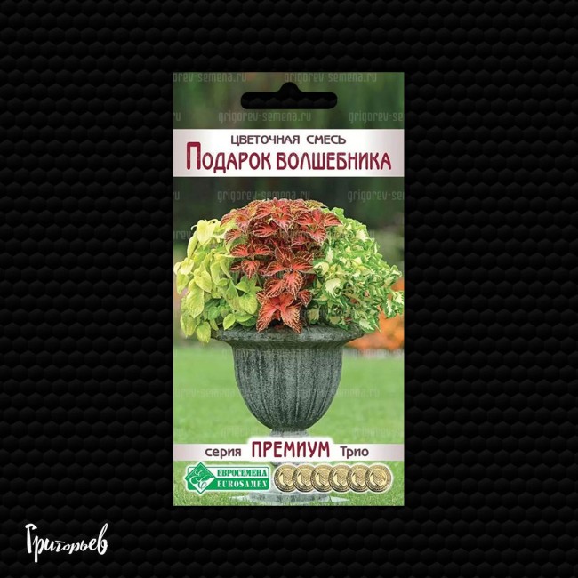 Цветочная смесь «Подарок волшебника» (Колеус Визард Корал Санрайз, Джейд, Голден)