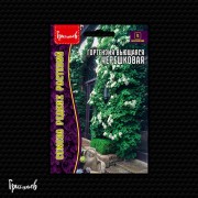Гортензия Черешковая вьющаяся Гортензия Черешковая вьющаяся