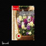 Маттиола Синдерелла Микс карликовая Маттиола Синдерелла Микс карликовая