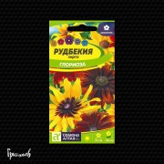 Рудбекия Глориоза хирта Рудбекия Глориоза хирта