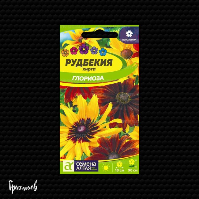 Рудбекия Глориоза хирта