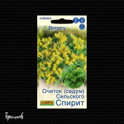 Очиток Спирит сельский