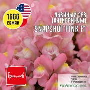 Львиный Зев Снэпшот Розовый F1 Львиный Зев Снэпшот Розовый F1