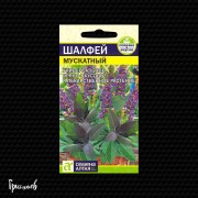Шалфей Мускатный Шалфей Мускатный