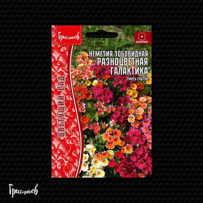 Немезия Разноцветная Галактика зобовидная
