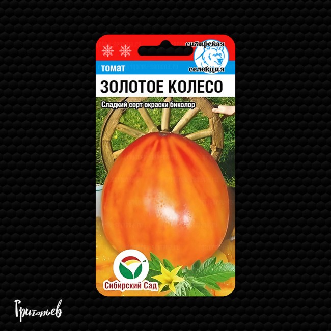Томат Золотое колесо