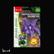 Аквилегия Альпийская низкорослая Аквилегия Альпийская низкорослая
