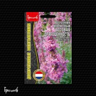 Дербенник Розовая Драгоценность иволистный