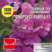 Львиный Зев Снэпшот Пурпурный F1 Львиный Зев Снэпшот Пурпурный F1