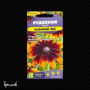 Рудбекия Осенний лес хирта Рудбекия Осенний лес хирта