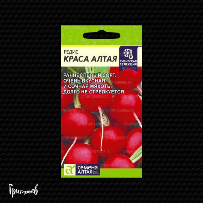 Редис Краса алтая