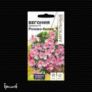 Бегония Шансон Розово-Белая F1