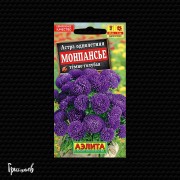 Астра Монпансье Темно-Голубая китайская
