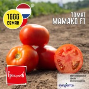 Томат Мамако