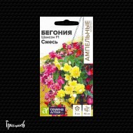 Бегония Шансон смесь F1